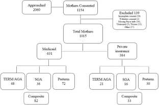 Comparison of birth outcomes of mothers covered by Medicaid versus those privately insured when accounting for social determinants of health