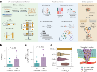 SEVtras characterizes cell-type-specific small extracellular vesicle secretion