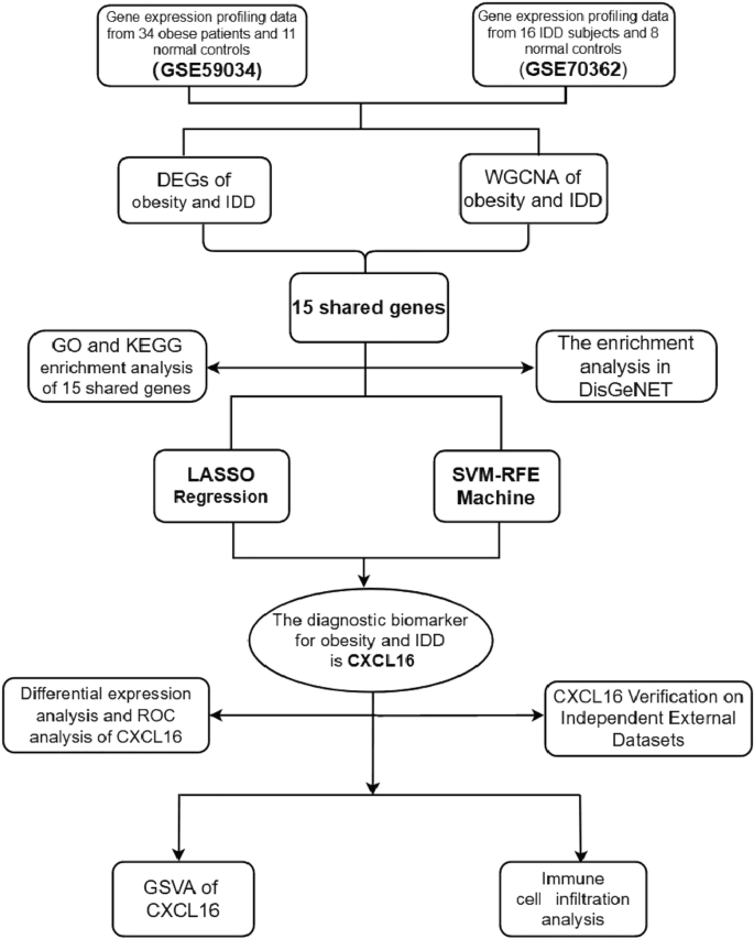 Identification of CXCL16 as a diagnostic biomarker for obesity and intervertebral disc degeneration based on machine learning