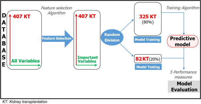 Predicting long-term outcomes of kidney transplantation in the era of artificial intelligence