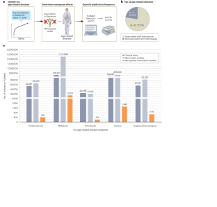 Female aging: when translational models don’t translate