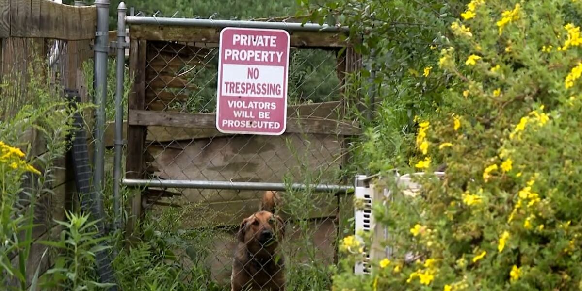 Vt. wildlife officials say controversial dog rescue in compliance with the law