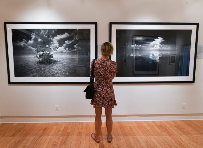 3 To Do: Butcher exhibit continues, Rose Max at Arts Bonita