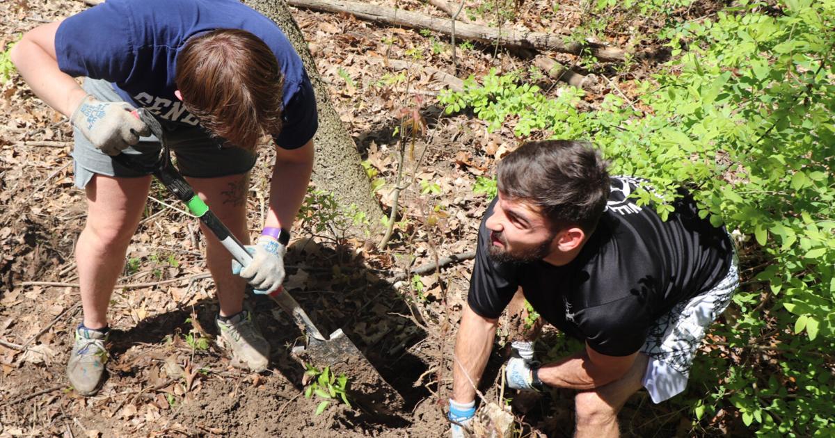 Grant to aid in documenting invasive species at GV Conservancy preserves