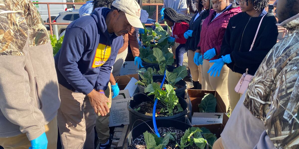 Greene County High School Garden Club learns the value of growing their own food