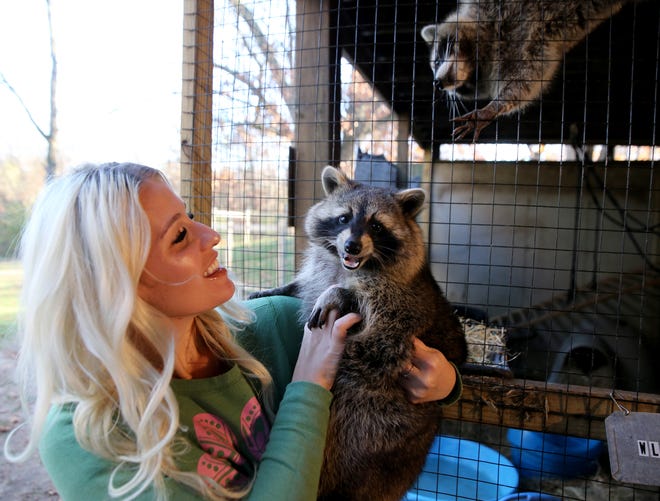 South Bend woman’s wildlife rehabilitation mission: Rescue Release Repeat