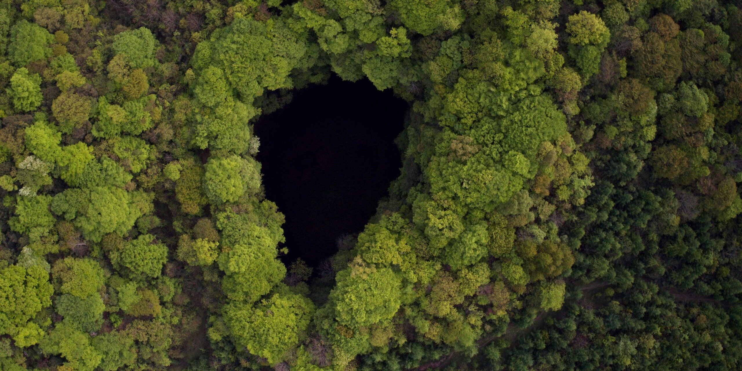 China Keeps Finding Massive Sinkholes Teeming With Strange Wildlife