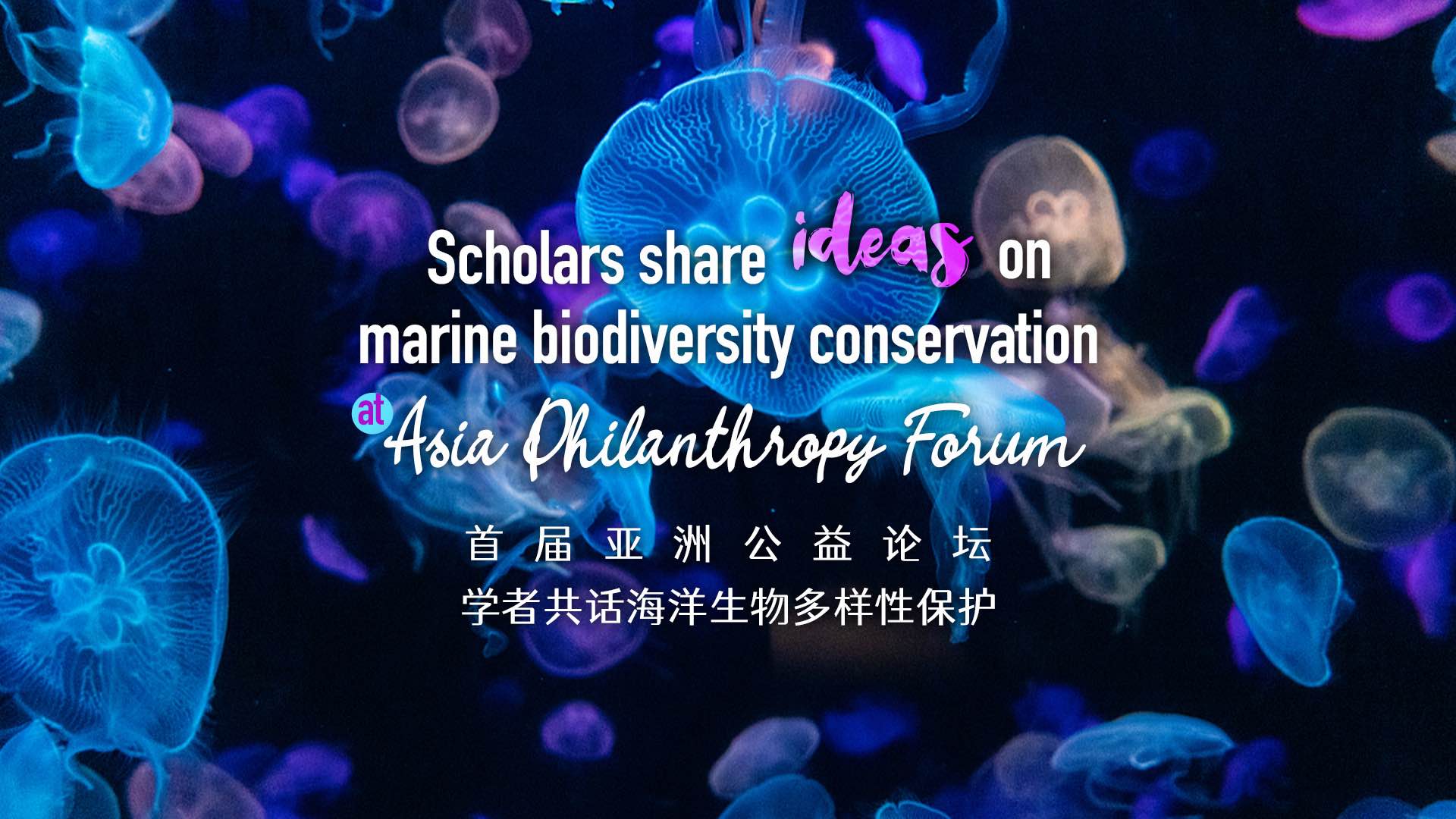 Wildlife belongs to the wild: Scholars share marine biodiversity ideas at Asia Philanthropy Forum