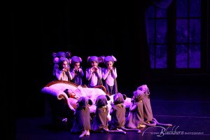 Saratoga Springs Youth Ballet Presents The Nutcracker