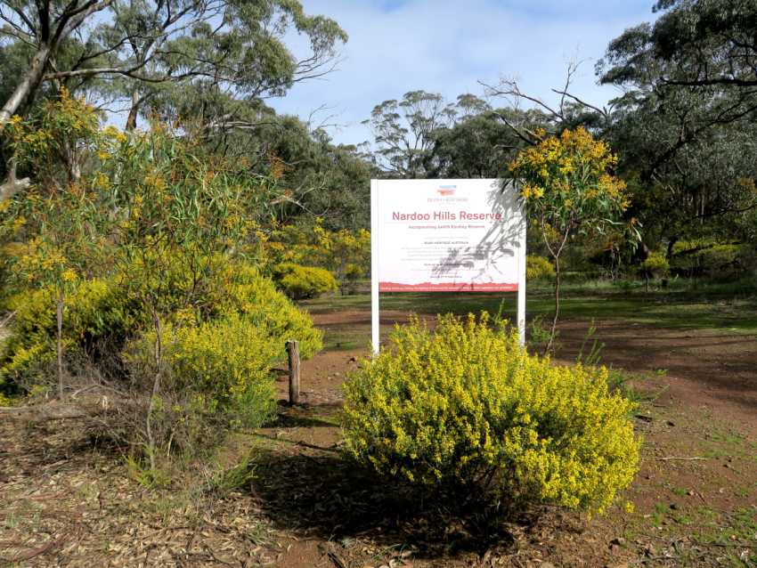 What if soil could tell us trees are stressed before the trees can?