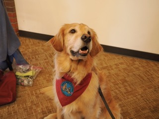 Campus’ Most Fluffy Event: Pause for Paws