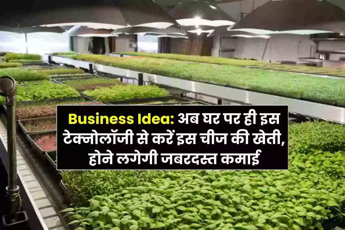 Business Idea: अब घर पर ही इस टेक्नोलॉजी से करें इस चीज की खेती, होने लगेगी जबरदस्त कमाई