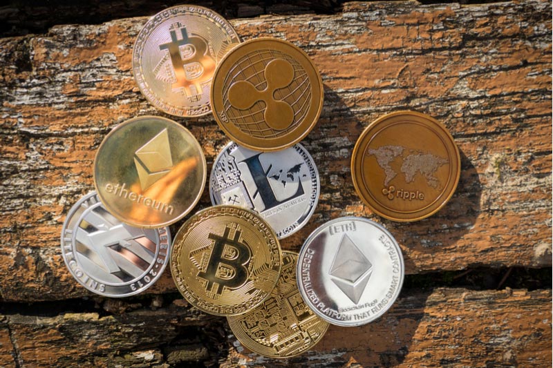 นักวิทยาศาสตร์ของบริษัท Meta เผย AI ยังฉลาดเทียบสุนัขไม่ได้เลย โดย Siamblockchain