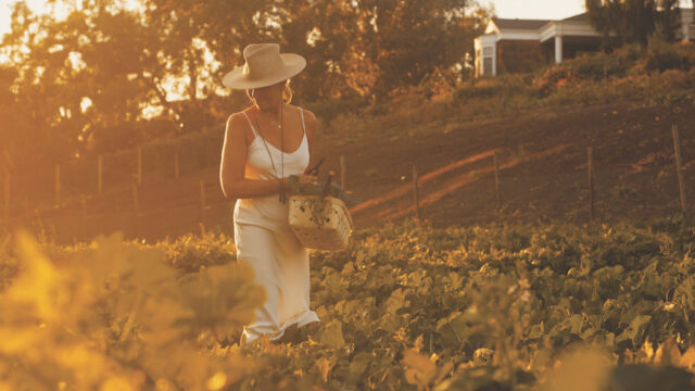 Kelly Meyer’s Second Life in Food and Farming