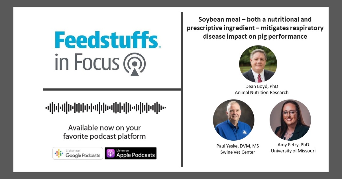 Soybean meal – both a nutritional and prescriptive ingredient – mitigates respiratory disease impact on pig performance