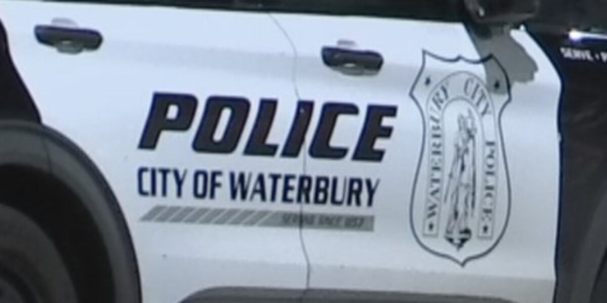Teen arrested after slamming stolen car into police cruisers