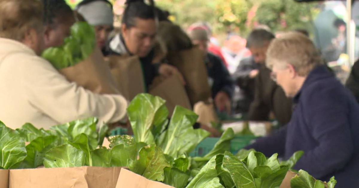 ‘We don’t have good information on what we’re eating’: Call for comprehensive national nutrition survey