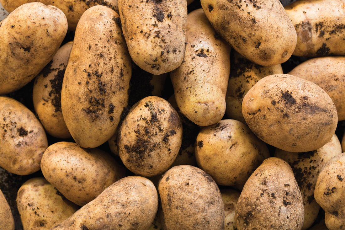 Pass the potatoes, or take a pass? Here’s expert advice
