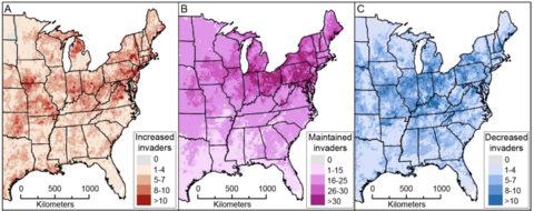 Study Finds Plant Nurseries are Exacerbating the Climate-driven Spread of 80% of Invasive Species