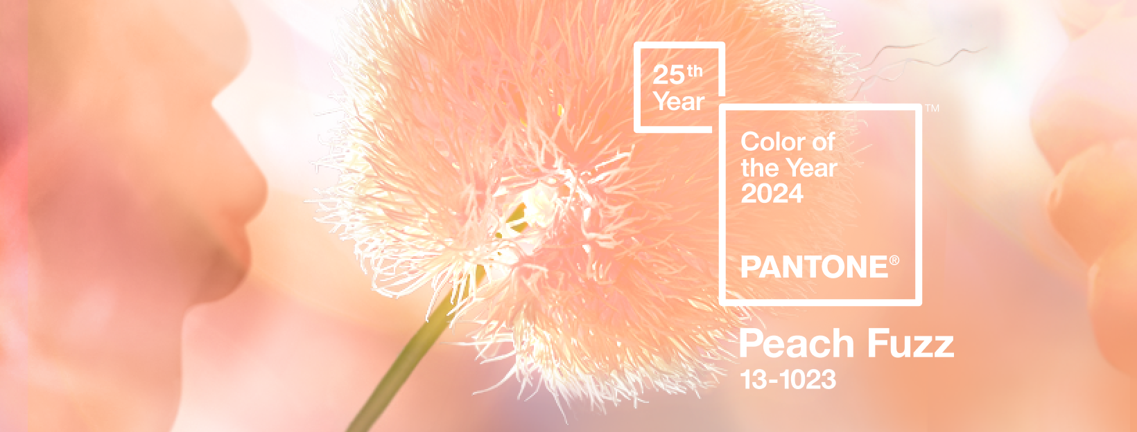 Color Of The Year 2024: Peach Fuzz On Fashion, Beauty, Interior, And Design