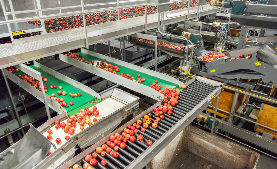 Elevating Food Hygiene: Chlorine Dioxide in Surface Sanitation