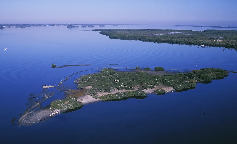 BREVARD HISTORY: President Theodore Roosevelt Signed Executive Order Making Pelican Island Nation’s First National Wildlife Refuge in 1903