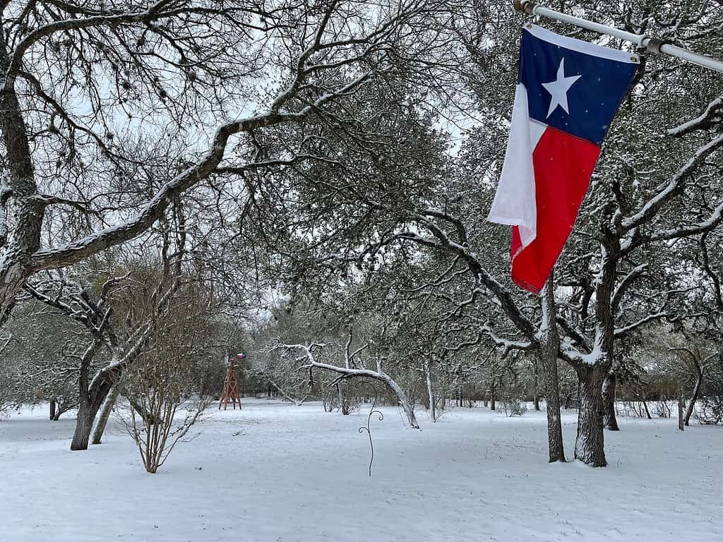 Texas’s Coldest December Ever Turned the State into a Popsicle