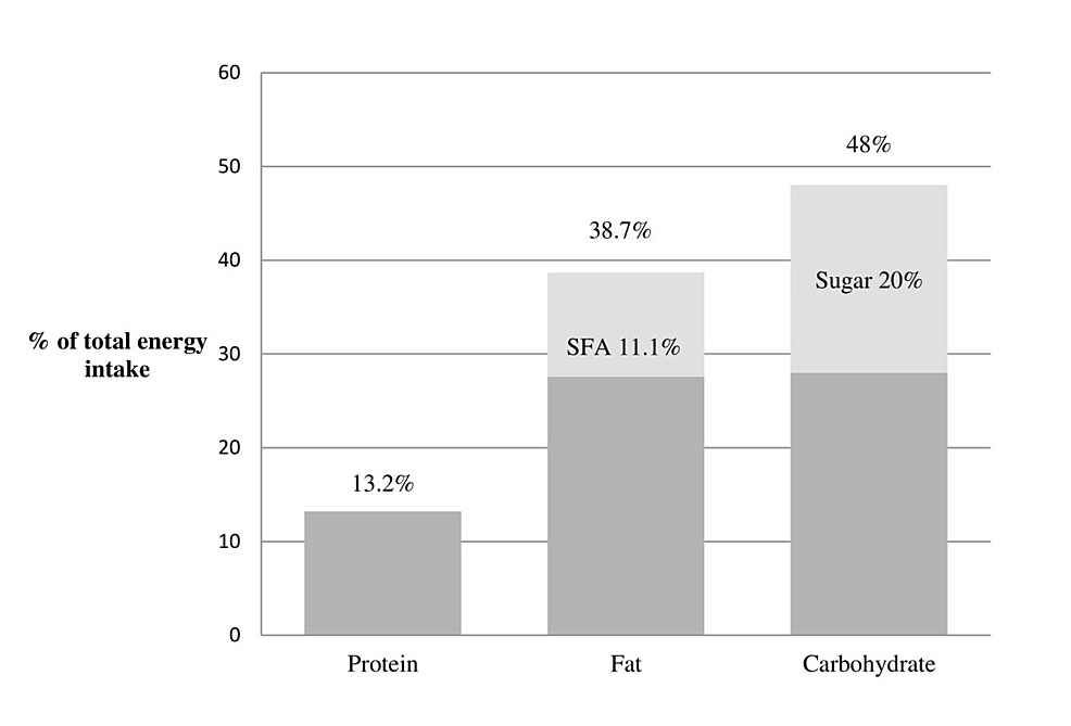 Αssessment of Dietary Intake and Nutritional Status of Former Opioid Users Undergoing Detoxification Process