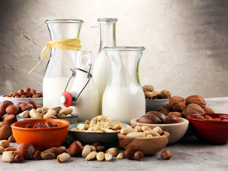 Bridging the nutritional gap with calcium and magnesium in dairy alternatives