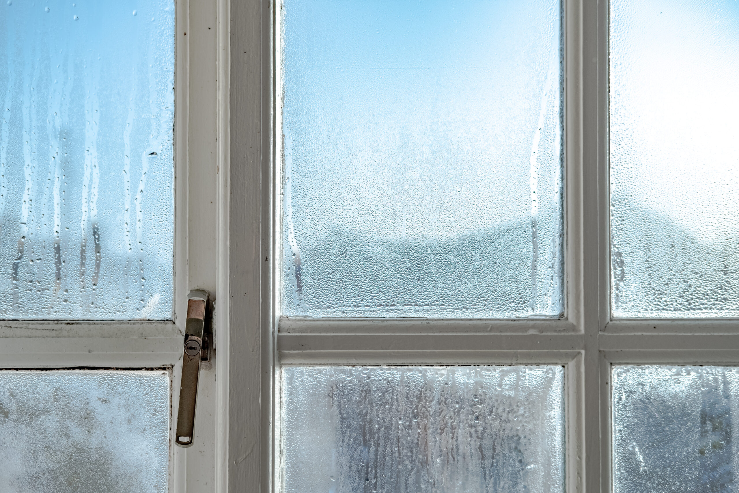 I’m a cleaning whizz and I found the way to banish mould for under £2