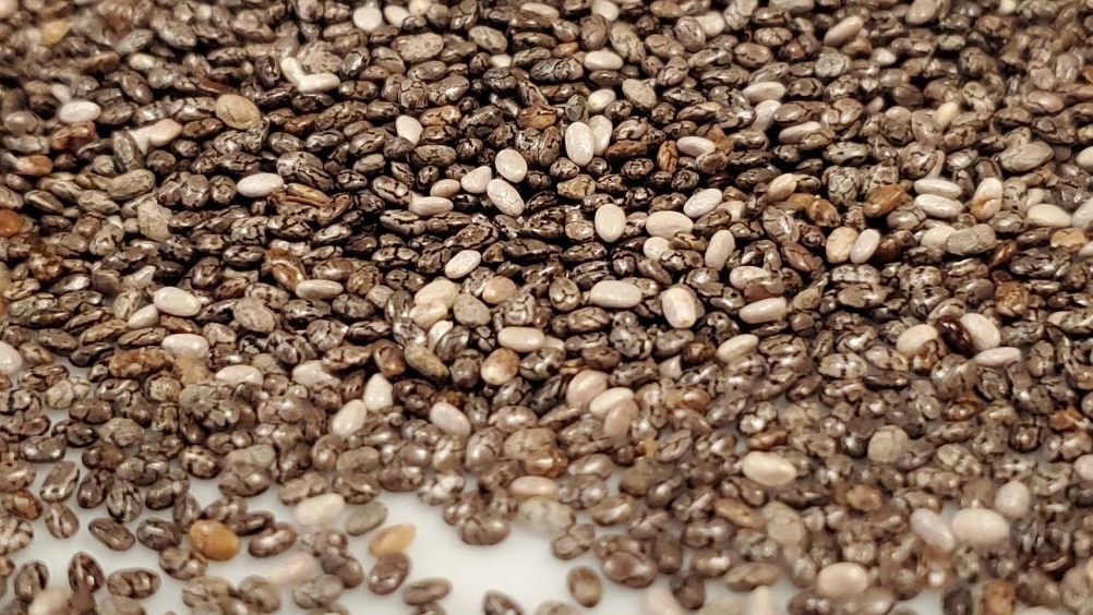 Chia Seeds: Unlocking the Potential of a Nutrient-Rich Superfood