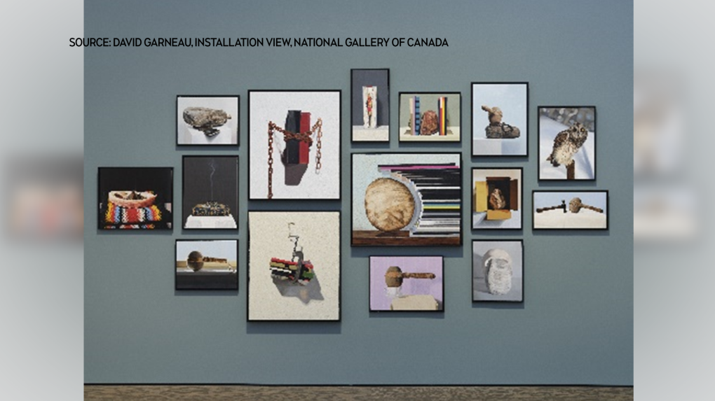 Regina artist wins Governor General’s Award for Visual and Media arts