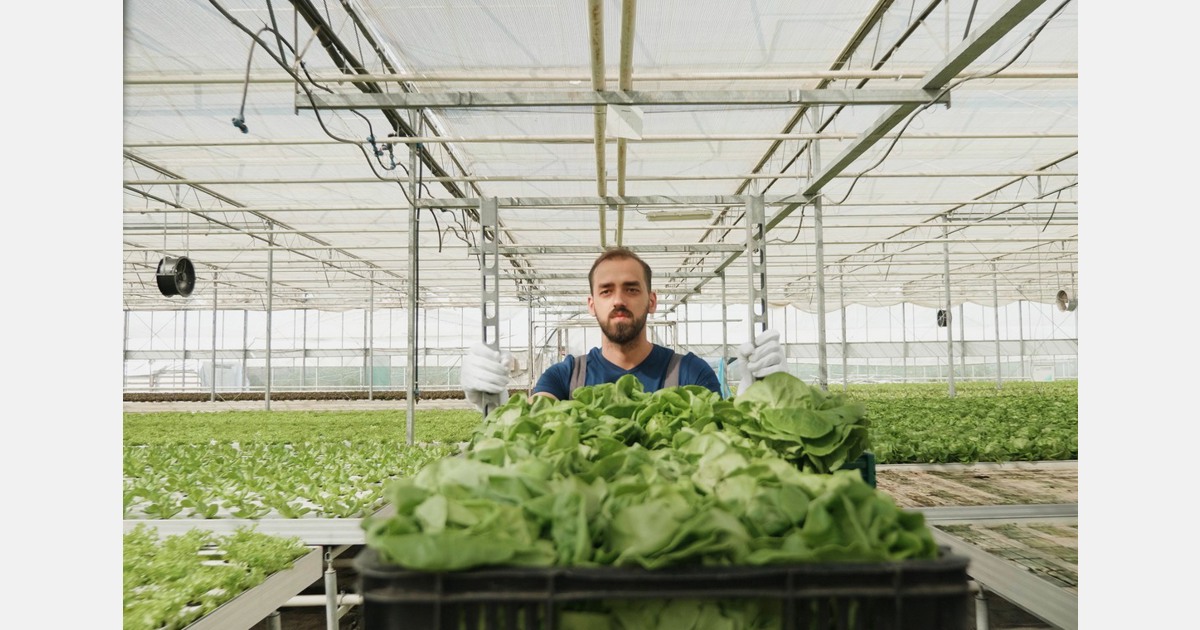 US (MA): Local Farmers tackle nutritional deficiency in their crops due to climate change