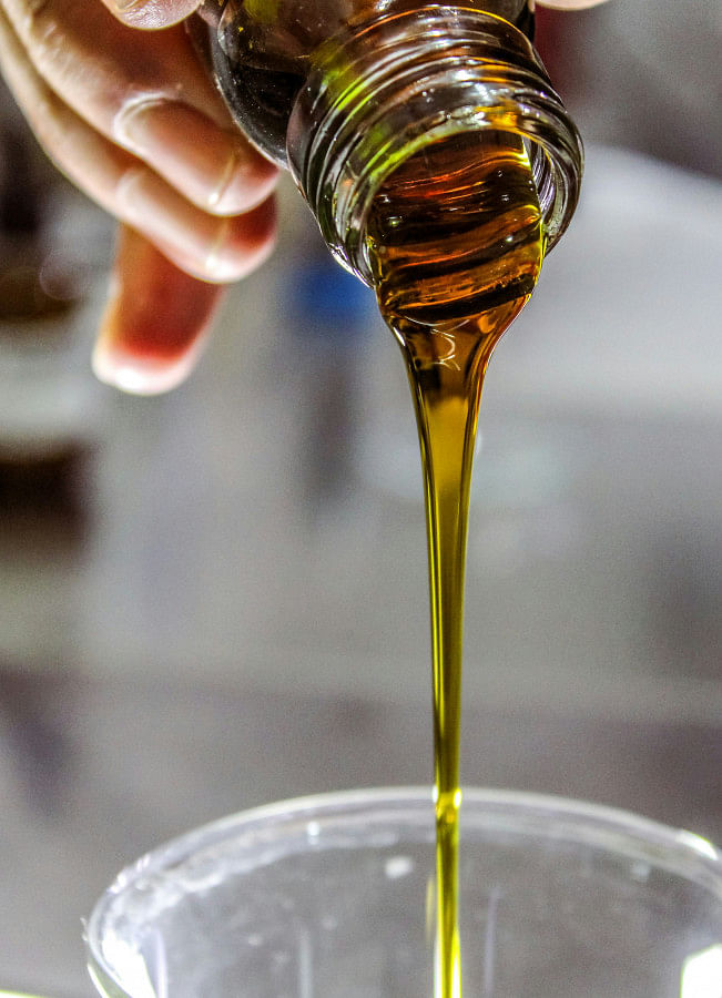 Embrace olive oil in your winter skincare routine