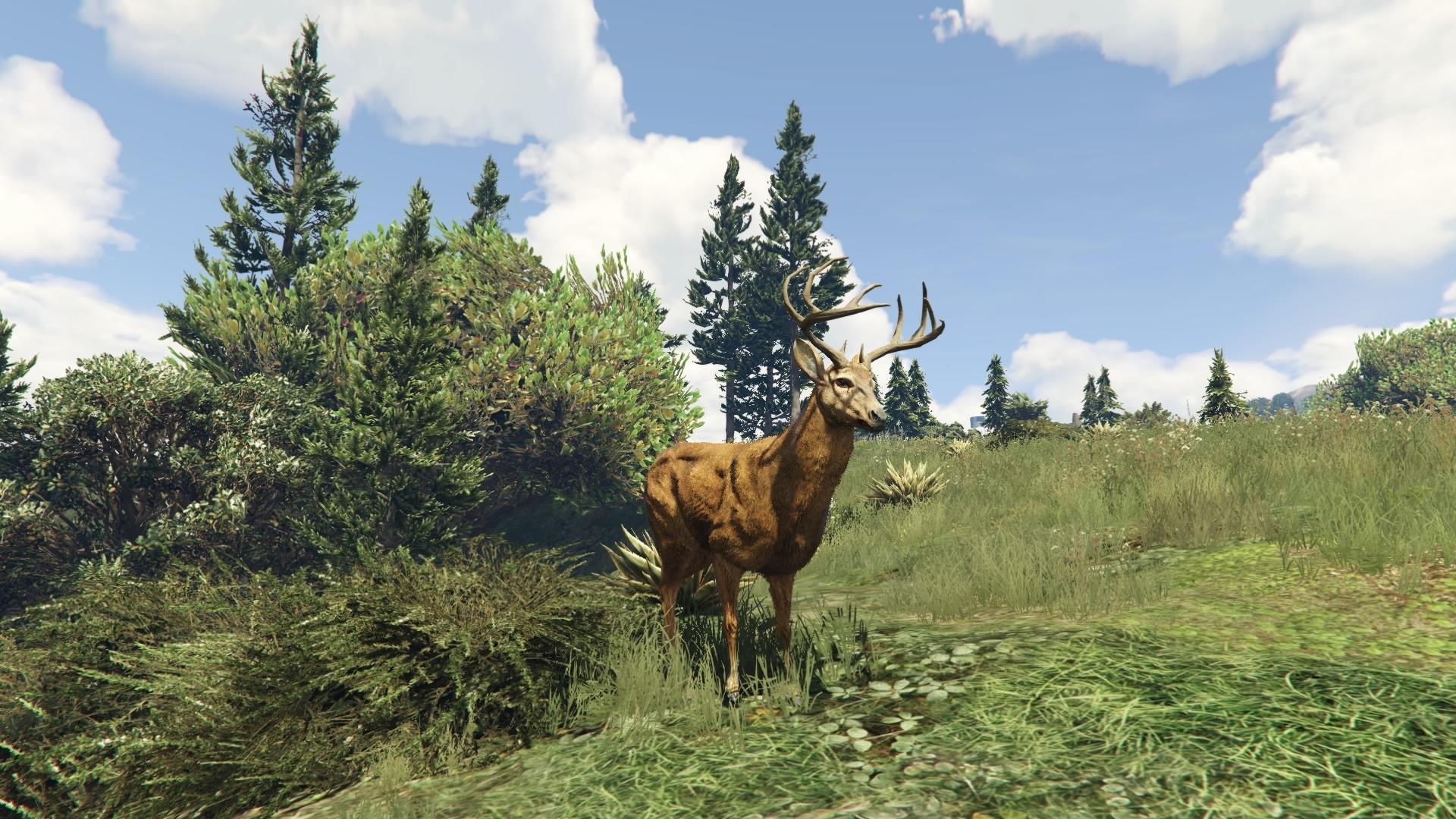 10 Years Later, GTA Online Is Getting Wildlife