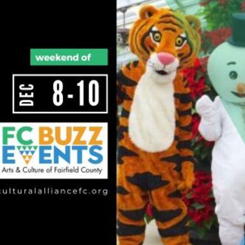 FC Buzz Weekend in Ridgefield: The Nutcracker, Games on Tap, Whose Barn Is It Anyway? Camerata d’Amici, and Music at the Mansion!