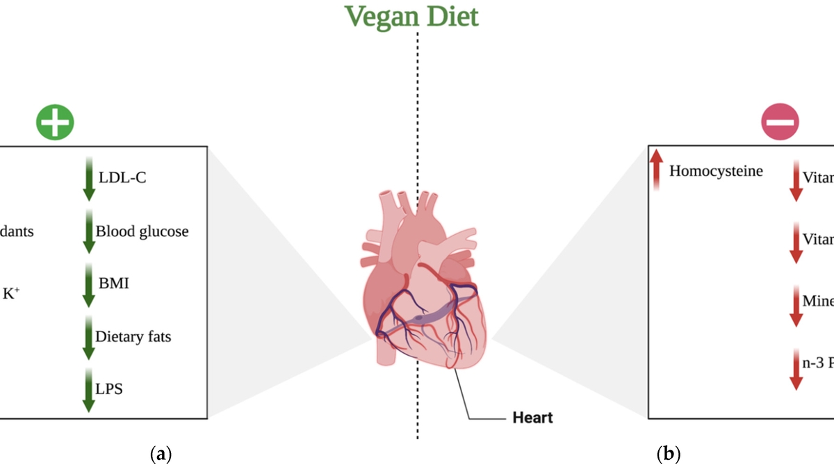 Breakthrough Study on Vegan Diet and Cardiometabolic Health