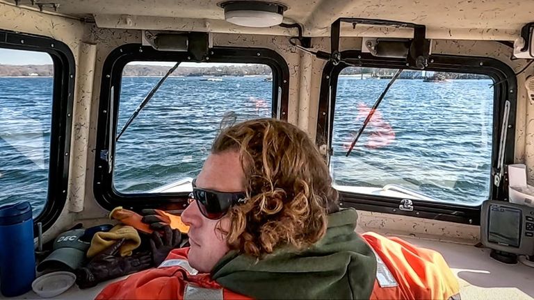 That red dye in Oyster Bay Harbor is part of a shellfish protection study