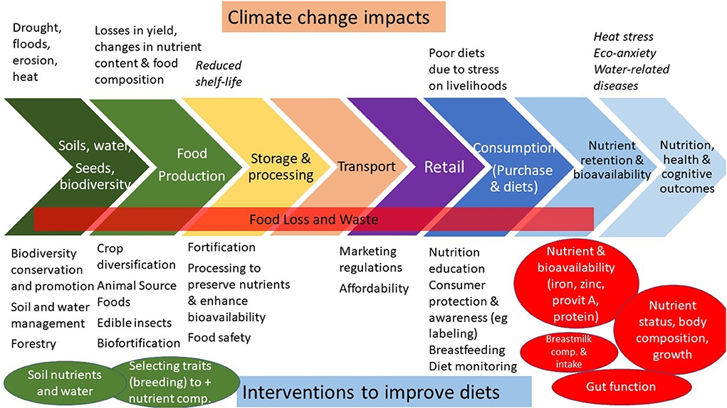 The Impact of Climate Change on Food Security, Nutrition, and Health