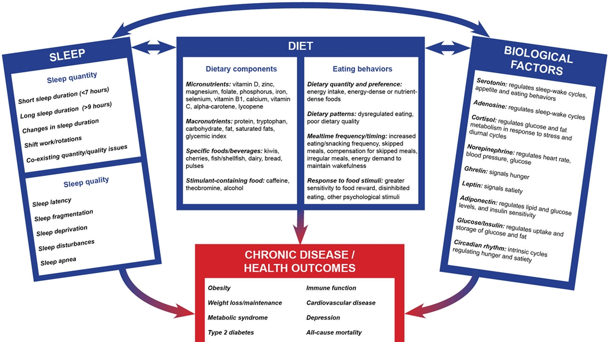 Understanding the Link Between Sleep Deprivation and Poor Dietary Choices