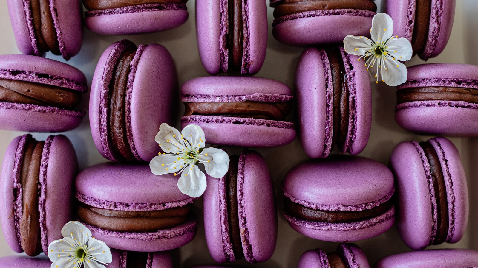 15 Tips For Baking The Absolute Best Macarons