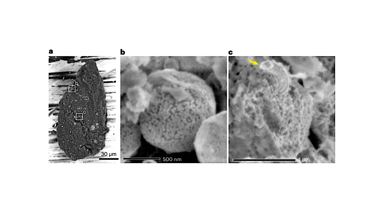 Meteorites Were A Likely Source Of Nitrogen For Early Earth