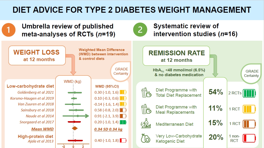 Nutrition Therapy for Type 2 Diabetes: Personalized Approaches and Lifestyle Interventions