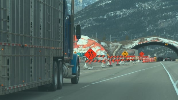 Construction stalls on wildlife bridge over Trans-Canada Highway