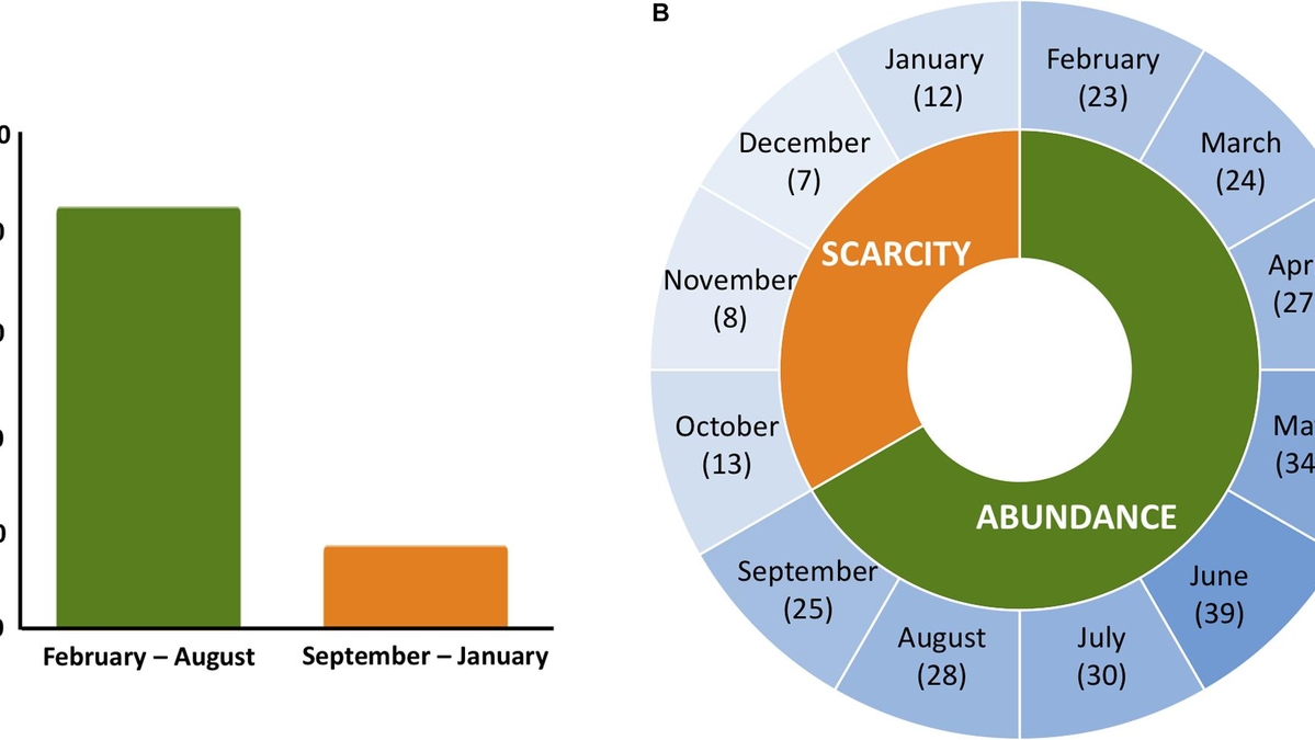 Factors Affecting Lifespan of Honey Bees: Nutrition, Essential Oils, and Probiotics