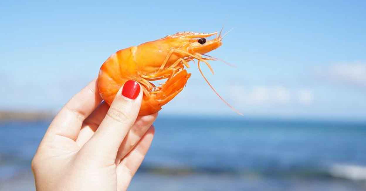 Know nutritional values of Shrimp, its impact on brain health