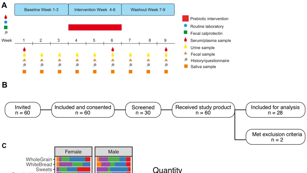 Unraveling the Complexity of Prebiotics: New Study from University of Vienna