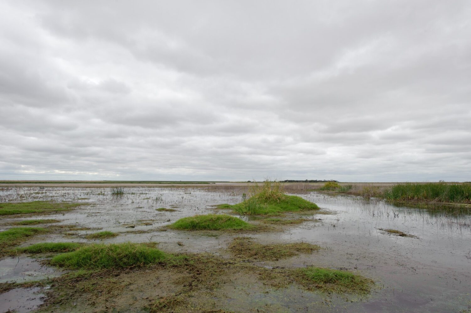 After Clean Water Act ruling, states that want to protect affected wetlands need millions