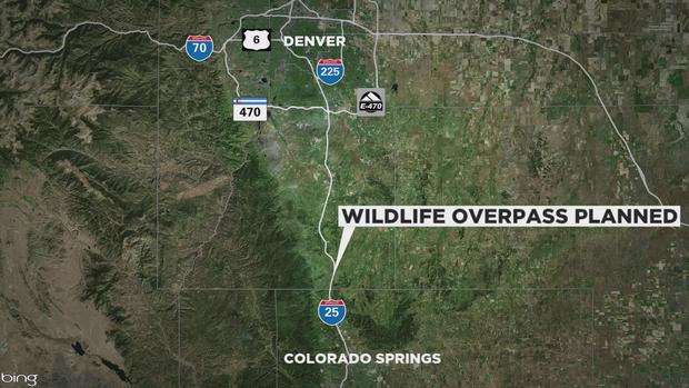 Wildlife overpass planned for I-25 in Douglas County to protect animals, drivers in Colorado