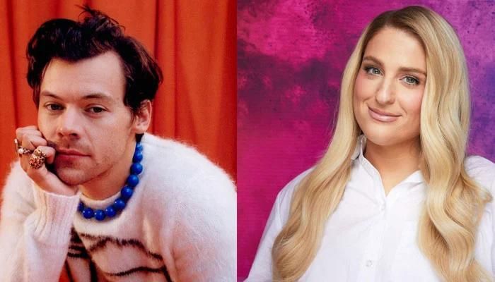 Do Harry Styles and Meghan Trainor Have a Family Ties?